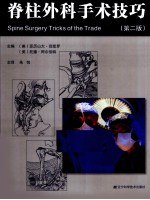 脊柱外科手术技巧 第2版