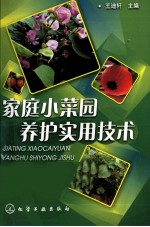 家庭小菜园养护实用技术