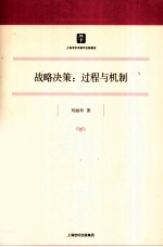 战略决策 过程与机制
