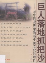 巨人落地抓把沙 从中医易理象数看中国文化的理性
