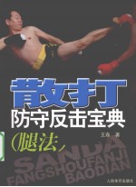 散打防守反击宝典 腿法