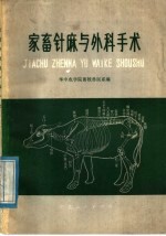 家畜针麻与外科手术