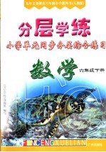 九年义务教育六年制小学教科书 分层学练 小学单元同步分层综合练习 数学 六年级 下 人教版 第2版