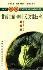 甘蓝亩产4000元关键技术 彩插版