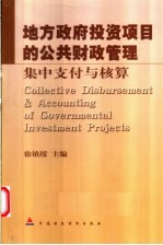 地方政府投资项目的公共财政管理 集中支付与核算