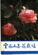 云南山茶花栽培