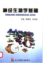 神经生物学基础