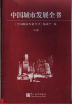 中国城市发展全书 下