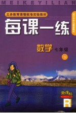 每课一练 数学:R版 七年级 下
