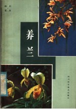 养兰