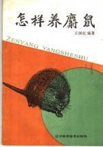 怎样养麝鼠