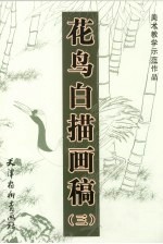 花鸟白描画稿 3