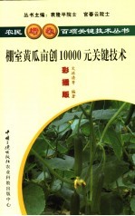 棚室黄瓜亩创10000元关键技术 彩插版