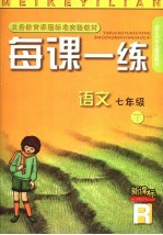 每课一练 语文:R版 七年级 下