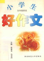 小学生好作文·五年级