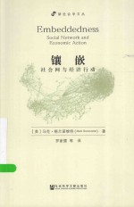 镶嵌 社会网与经济行动