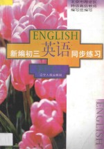 新编初三英语同步练习