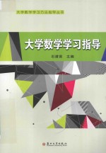 大学数学学习指导
