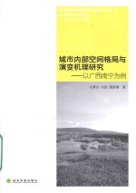 城市内部空间格局与演变机理研究 以广西南宁为例