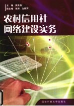 农村信用社网络建设实务