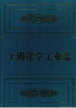 上海化学工业志