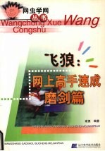 飞狼:网上高手速成磨剑篇