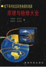 松下系列机芯彩色电视机电路原理与检修大全