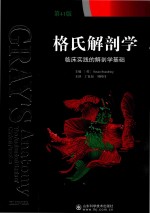 格氏解剖学 临床实践的解剖学基础 第41版