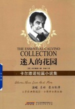 迷人的花园 卡尔维诺短篇小说集