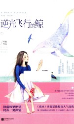 逆光飞行的鲸