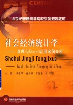 社会经济统计学 原理与Excel应用案例分析