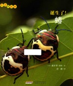 生命的故事 诞生了!蝽