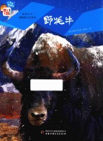 儿童文学童书馆小书虫桥梁书系列 自然之子黑鹤原生态系列 野牦牛