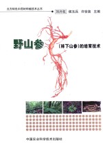 野山参(林下山参)的培育技术
