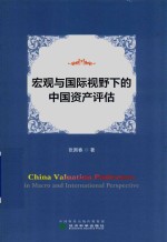 宏观与国际视野下的中国资产评估