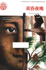 黑鹤动物文学精品系列 黄昏夜鹰
