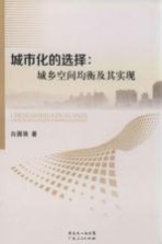 城市化的选择 城乡空间均衡及其实现