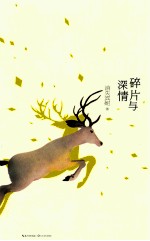 碎片与深情