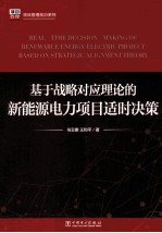 基于战略对应理论的新能源电力项目适时决策