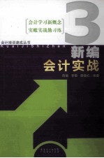 新编会计实战