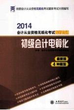 会计从业资格无纸化考试无师自通 初级会计电算化