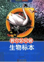 教你如何做生物标本 最新版