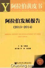 阿拉伯发展报告 2013-2014