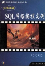 SQL网络编程实例
