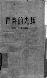青春的光辉