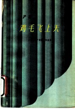 鸡毛飞上天 沪剧