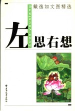 左思右想 戴逸如文图精选