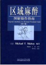 区域麻醉图解操作指南 第3版
