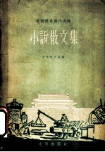 小说散文集