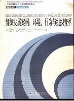 组织发展案例:环境、行为与组织变革